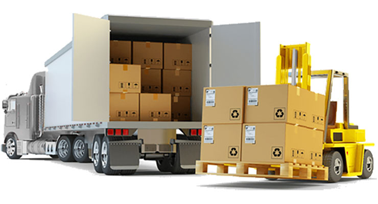 About Vibegrace Logistics